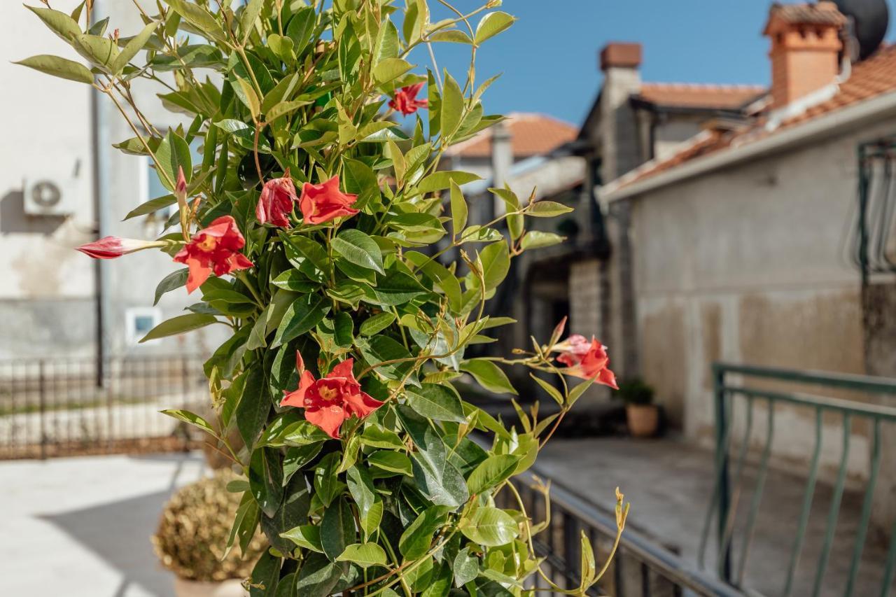 Boka Apartment 6 Herceg Novi Zewnętrze zdjęcie